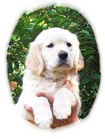 Blanca von der Velsener Mark