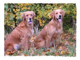 Ruby und Eunice im November 2006