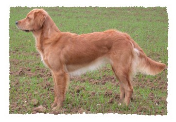 Eunice im November 2006